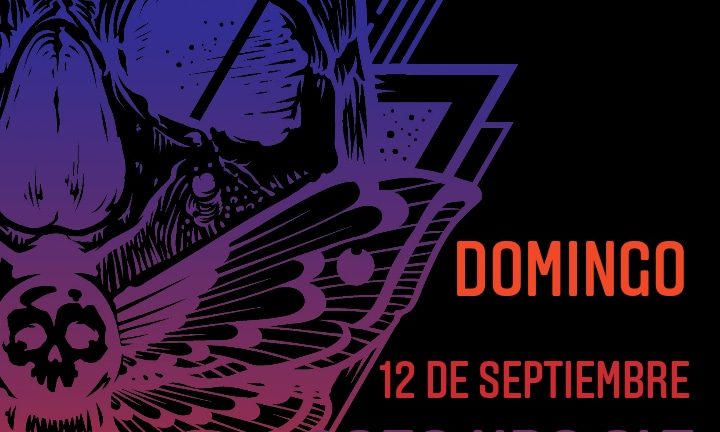 DOMINGO 12, pre-lanzamiento: “NUEVA HETEROCERA”